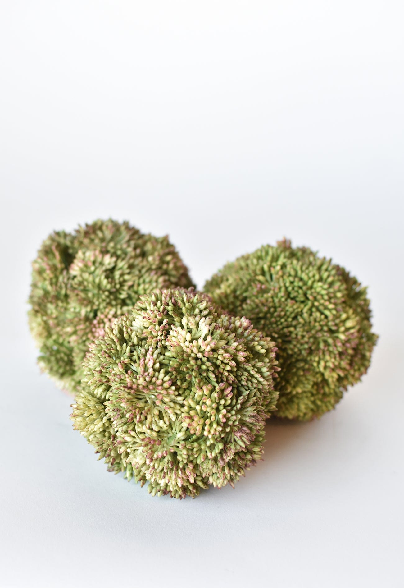 4" Faux Green Sedum Ball (Online exclusive)
