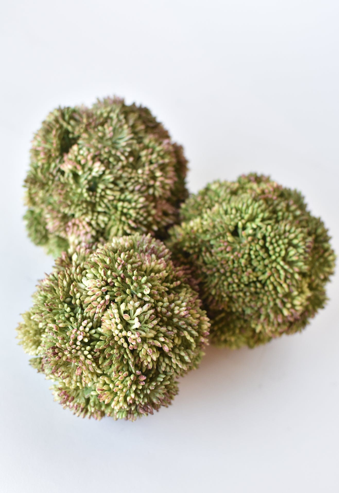 4" Faux Green Sedum Ball (Online exclusive)