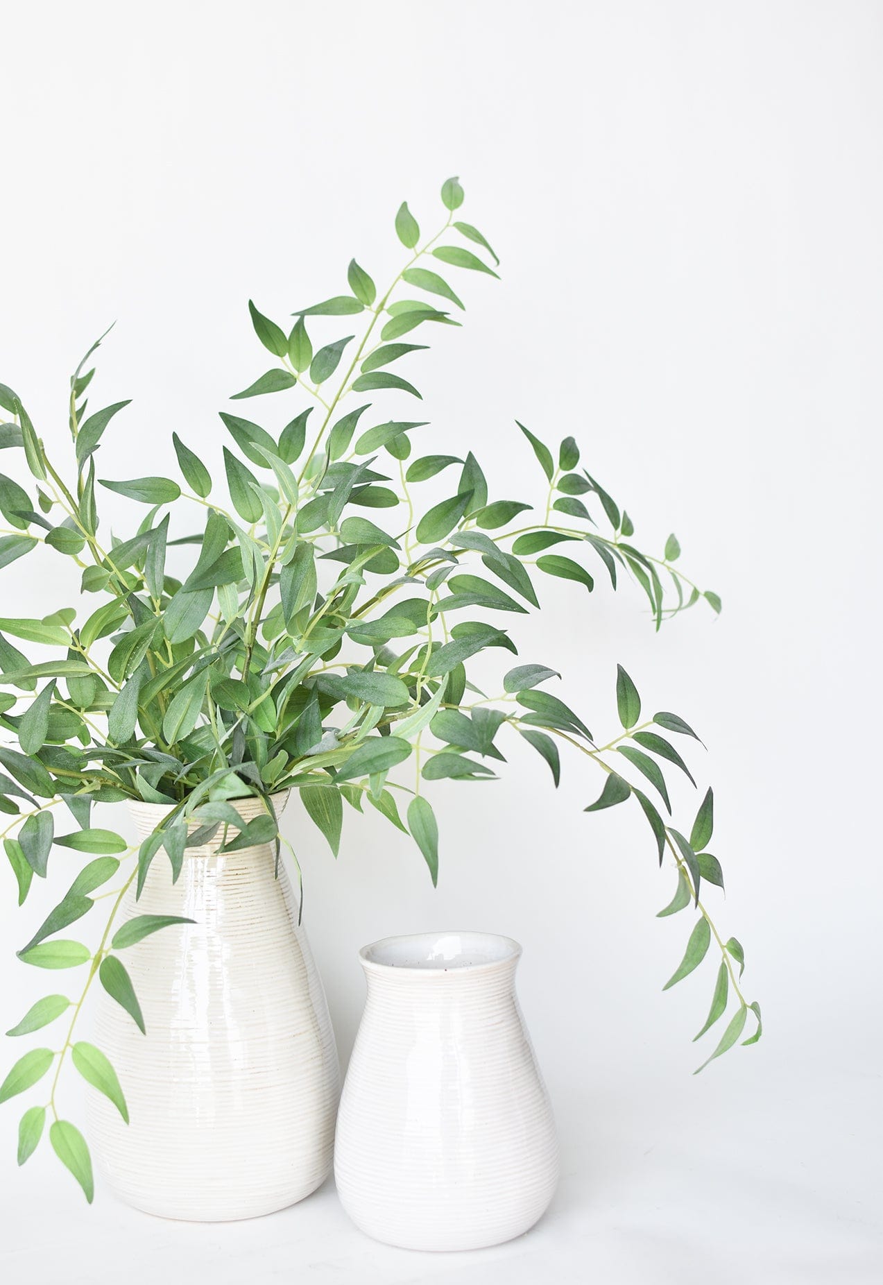 36" Faux Italian Ruscus Stem (Online exclusive)