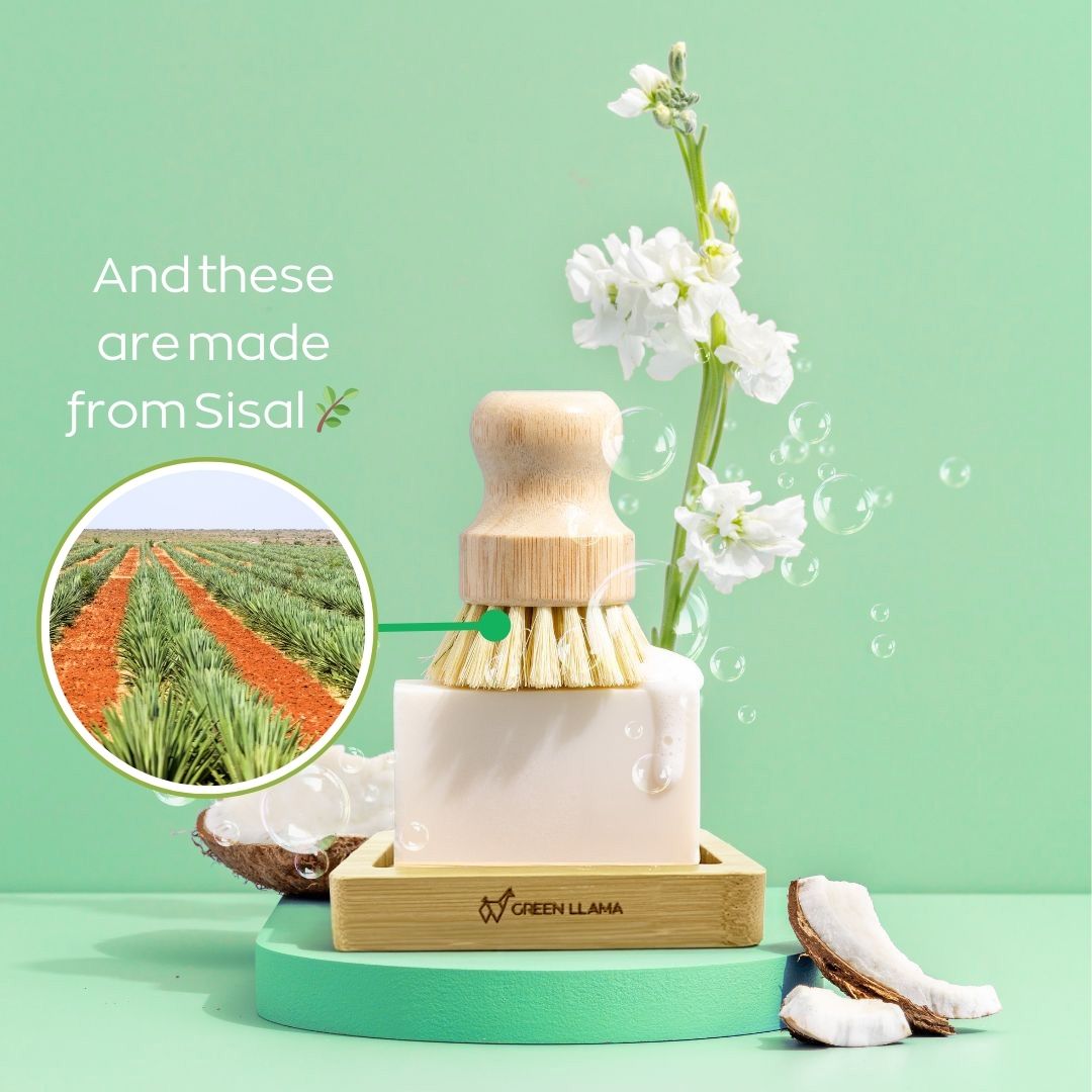 Eco-Friendly Dish Washing Starter Pack -  (Online Exclusive) Sparkling Clean & Green