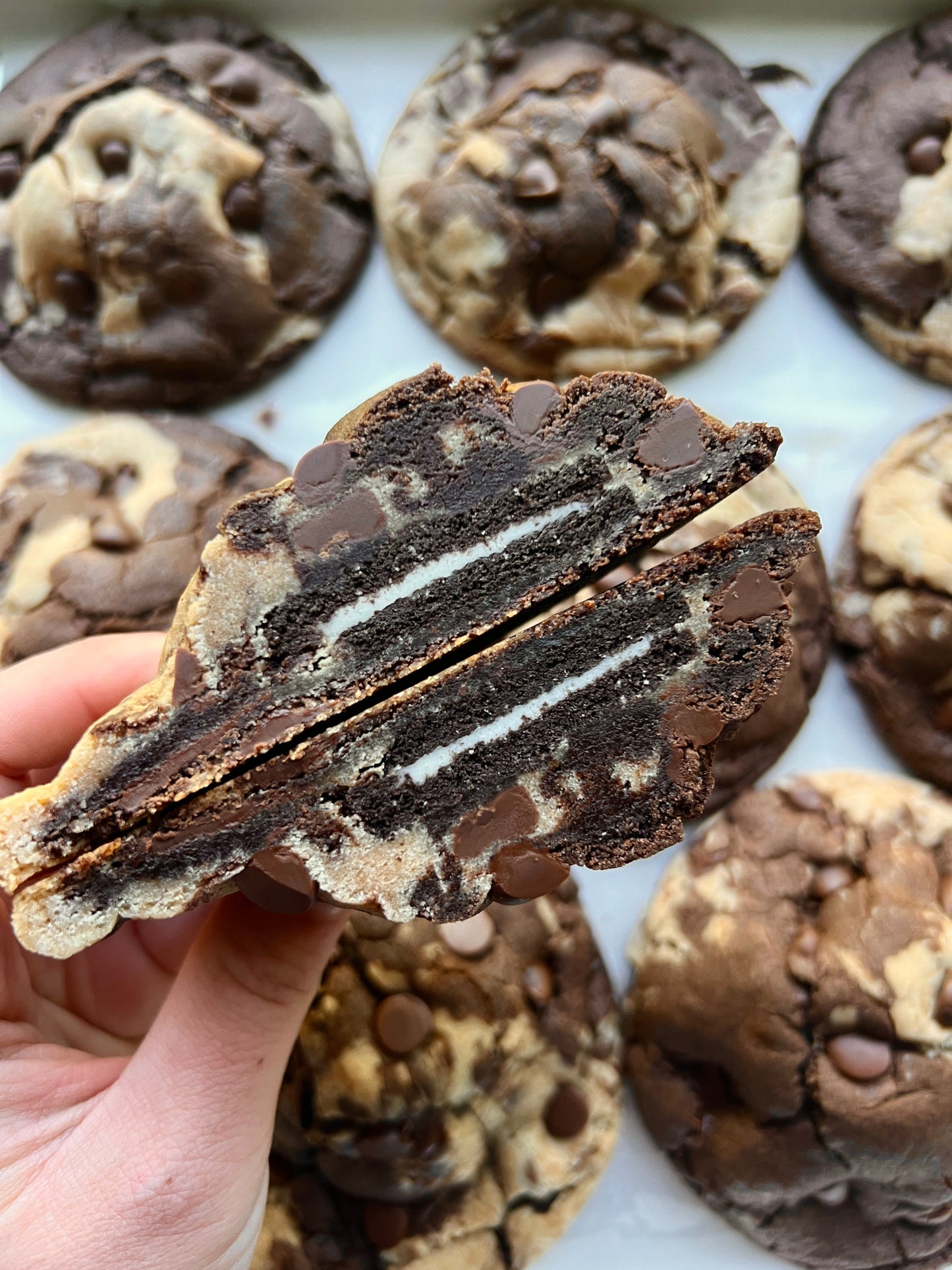 Brookie Monster 2.0 (Online Exclusive)