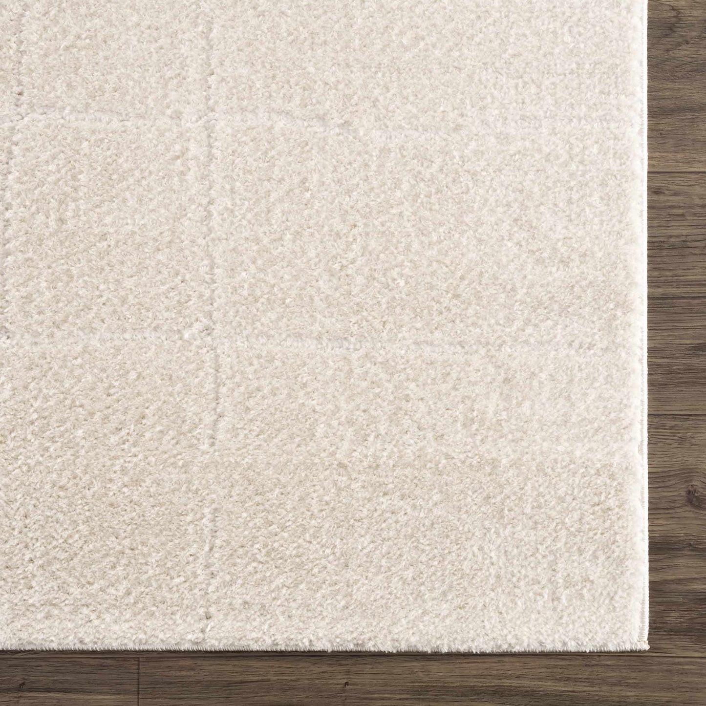 Koume Ivory Area Rug  (online exclusive