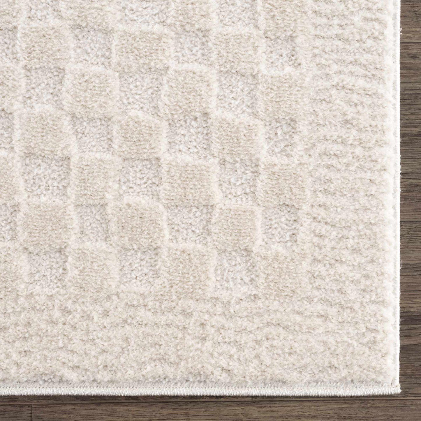 Leryn Ivory Checkered Area Rug  (online exclusive