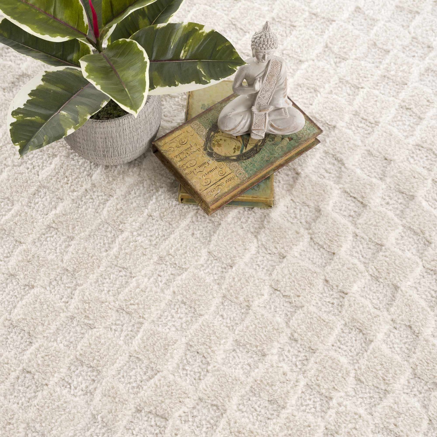 Leryn Ivory Checkered Area Rug  (online exclusive