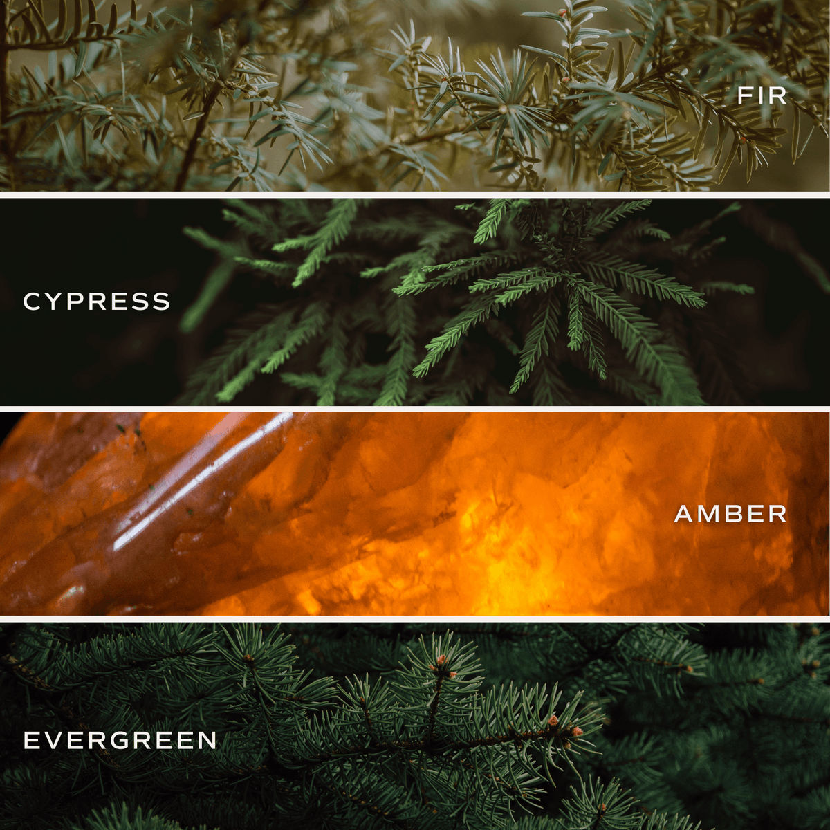 Snow Covered Pines (Fraser Fir) Olive Tinted Glass  (Online Exclusive Jar Reed Diffuser