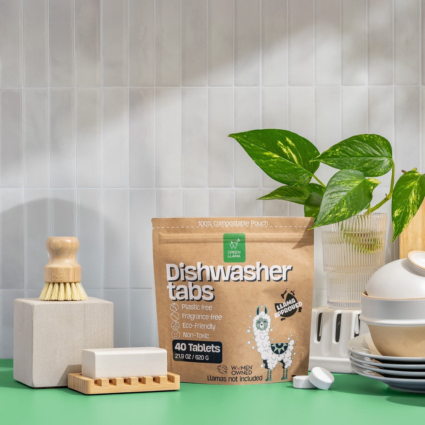 Green Llama Dish Starter Kit  (Online Exclusive)