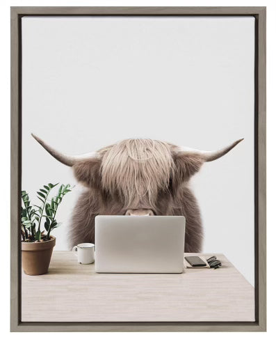 Office Highland Cow