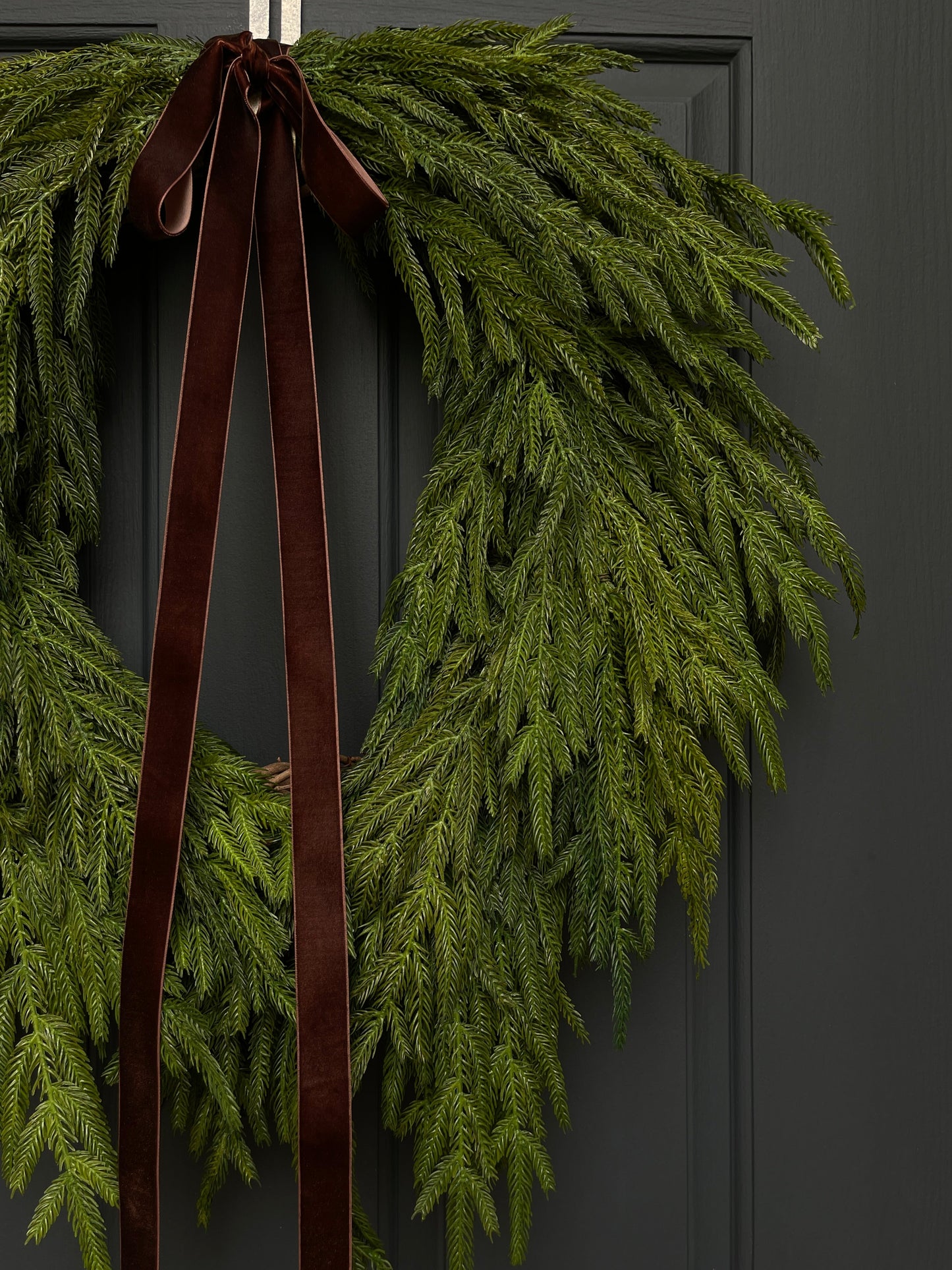 Faux Norfolk Pine Wreath with Dark Brown Velvet Bow (Online Exclusive)