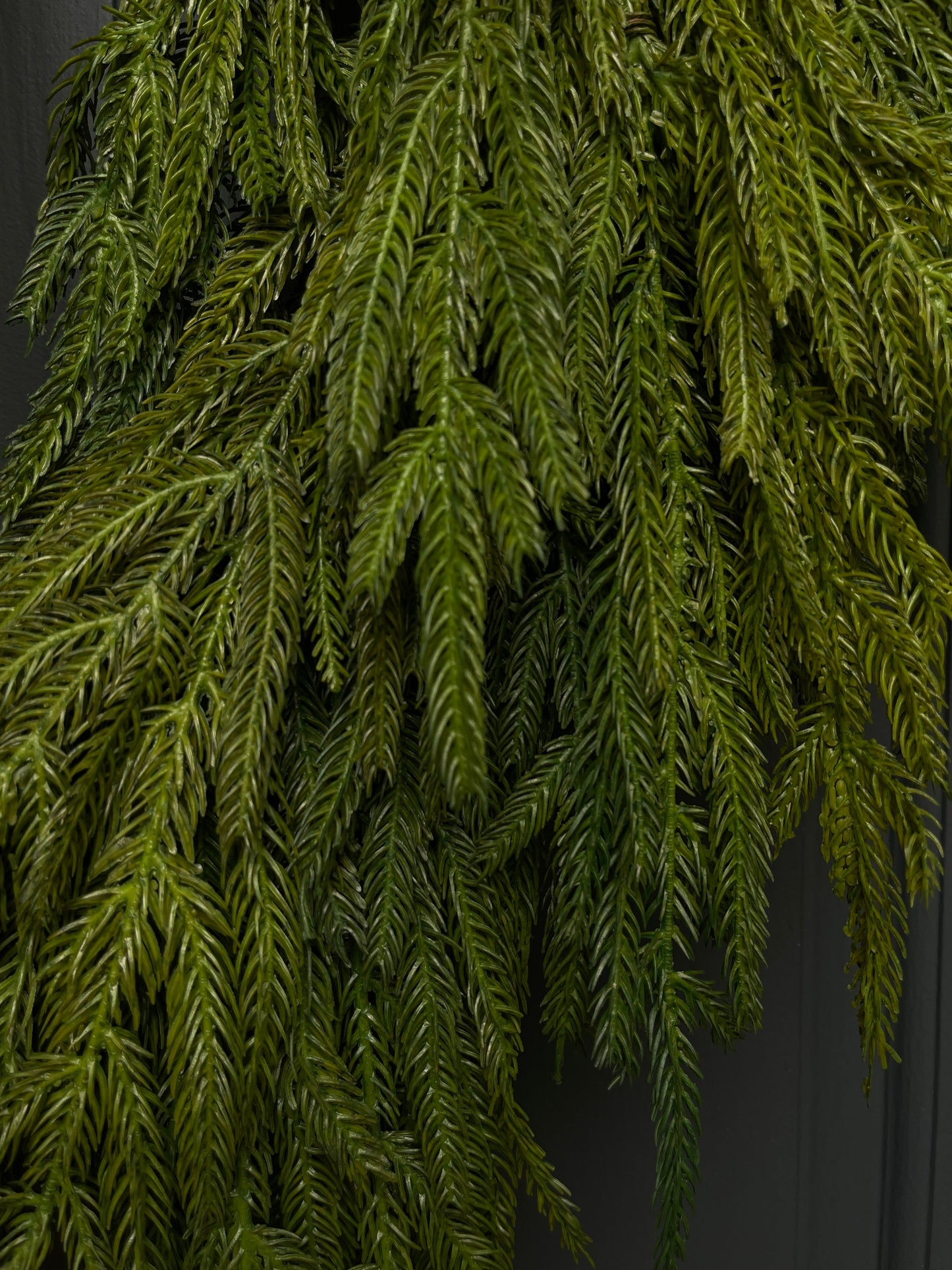 Faux Norfolk Pine Wreath with Dark Brown Velvet Bow (Online Exclusive)