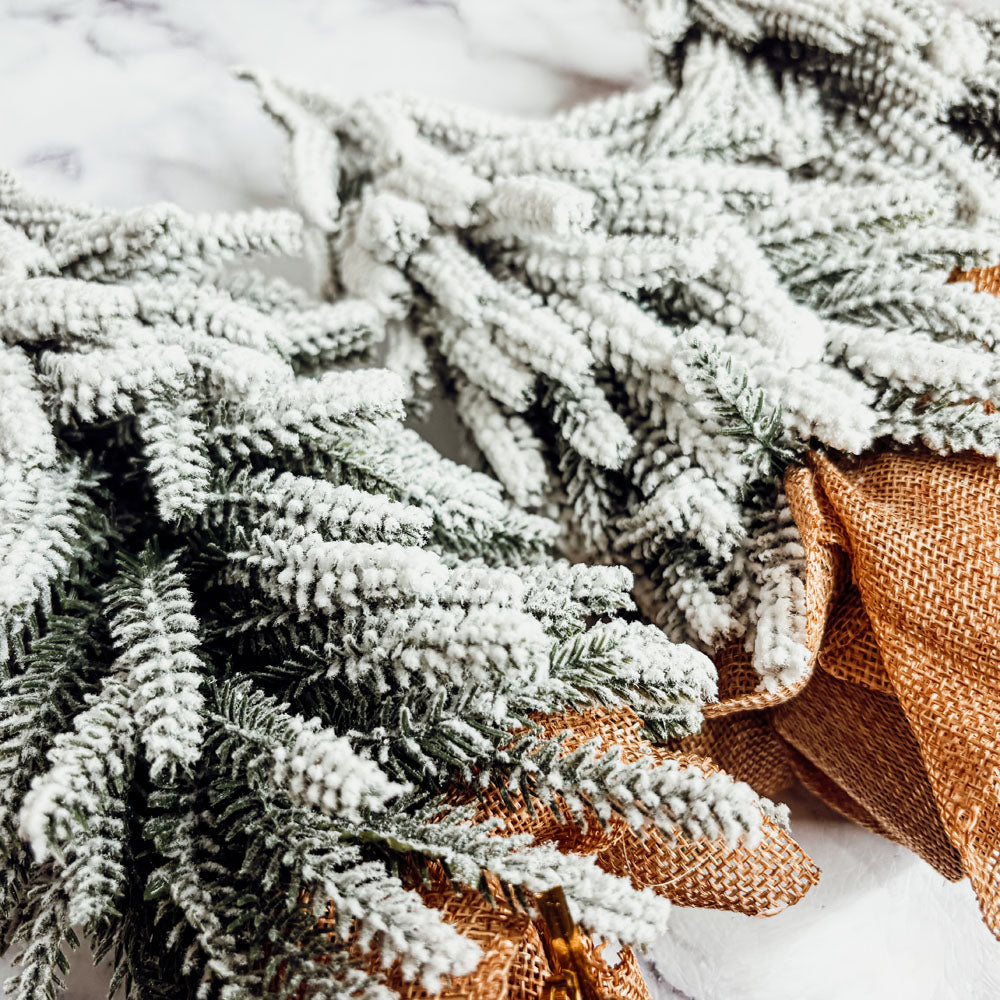 Snow Trees  (Online Exclusive)