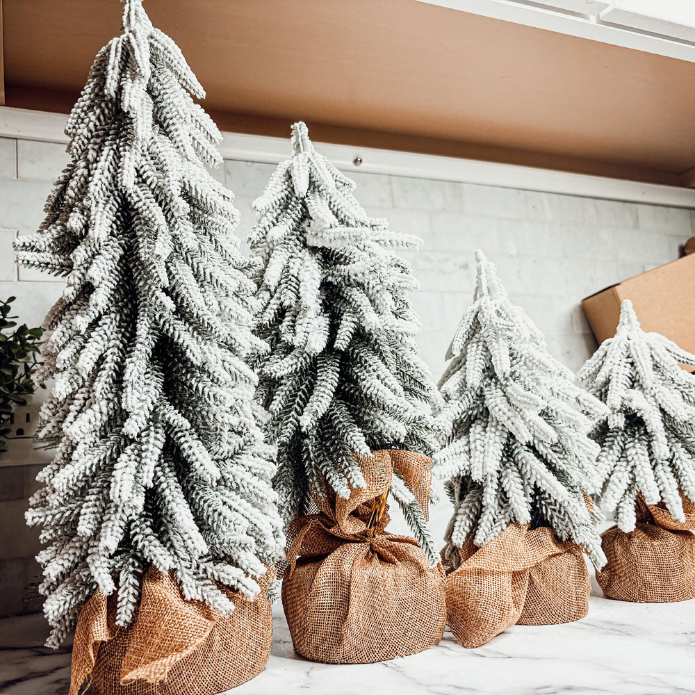 Snow Trees  (Online Exclusive)