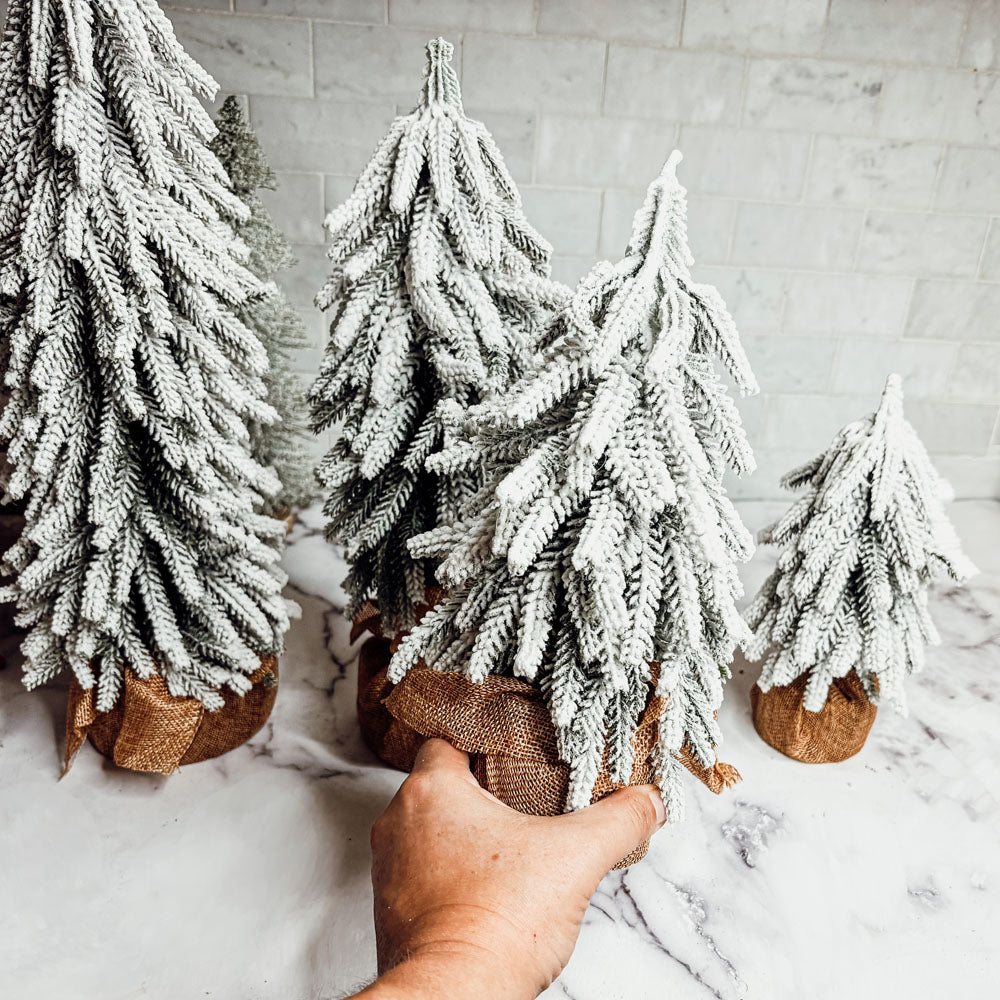 Snow Trees  (Online Exclusive)