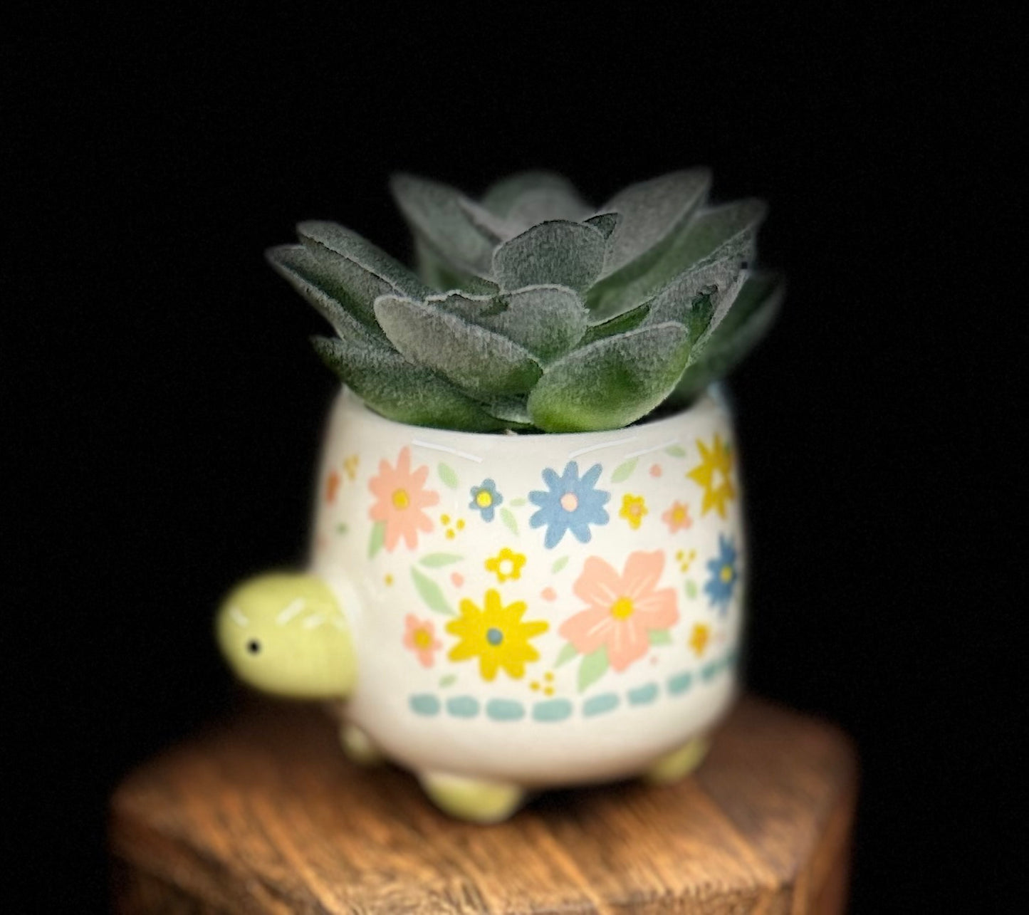 Shaped Succulent Pot