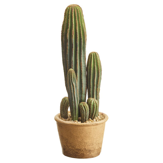 Artificial Column Cactus Plant w/Papier Mache Pot