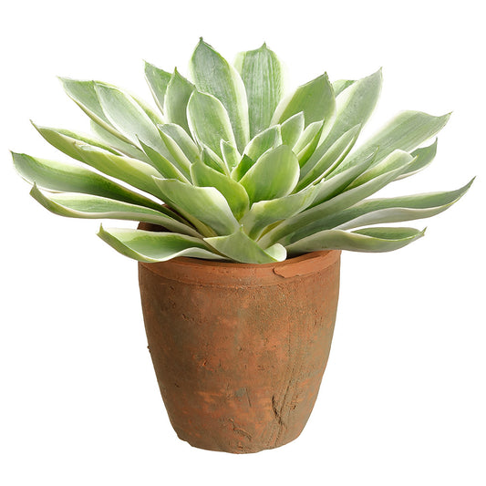 Artificial Echeveria Succulent Plant w/Clay Pot