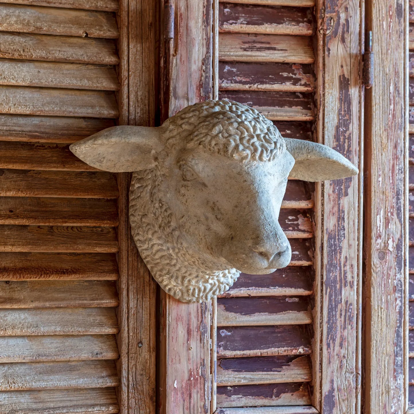 DECORATIVE WEATHERED SHEEP'S HEAD