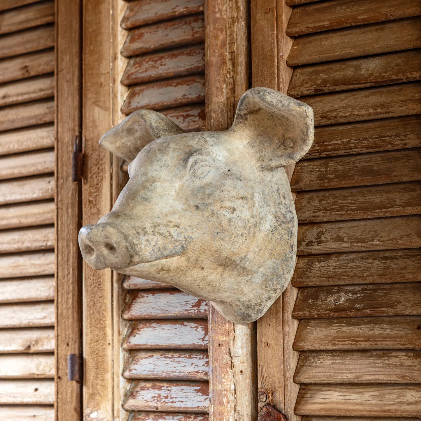 DECORATIVE WEATHERED PIG'S HEAD