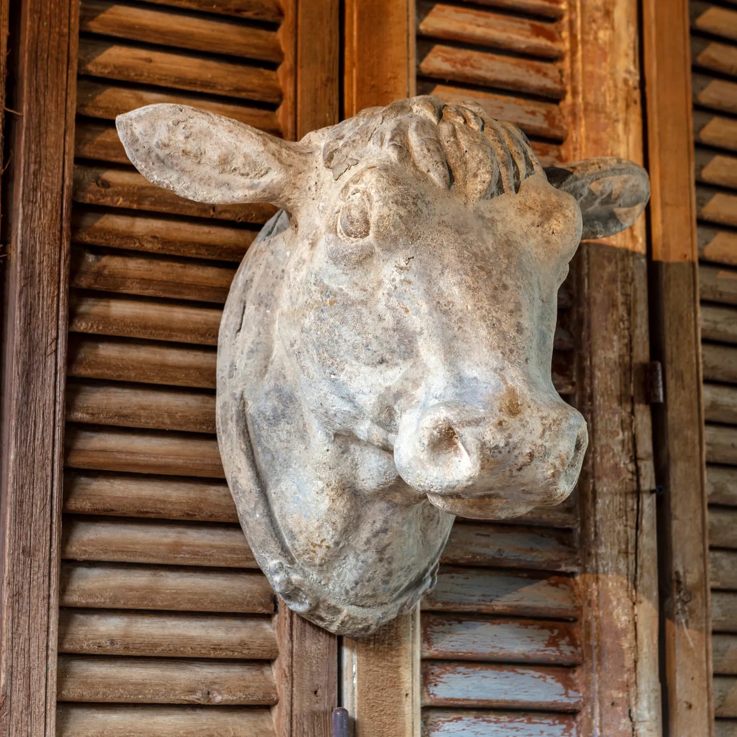 DECORATIVE WEATHERED COW'S HEAD