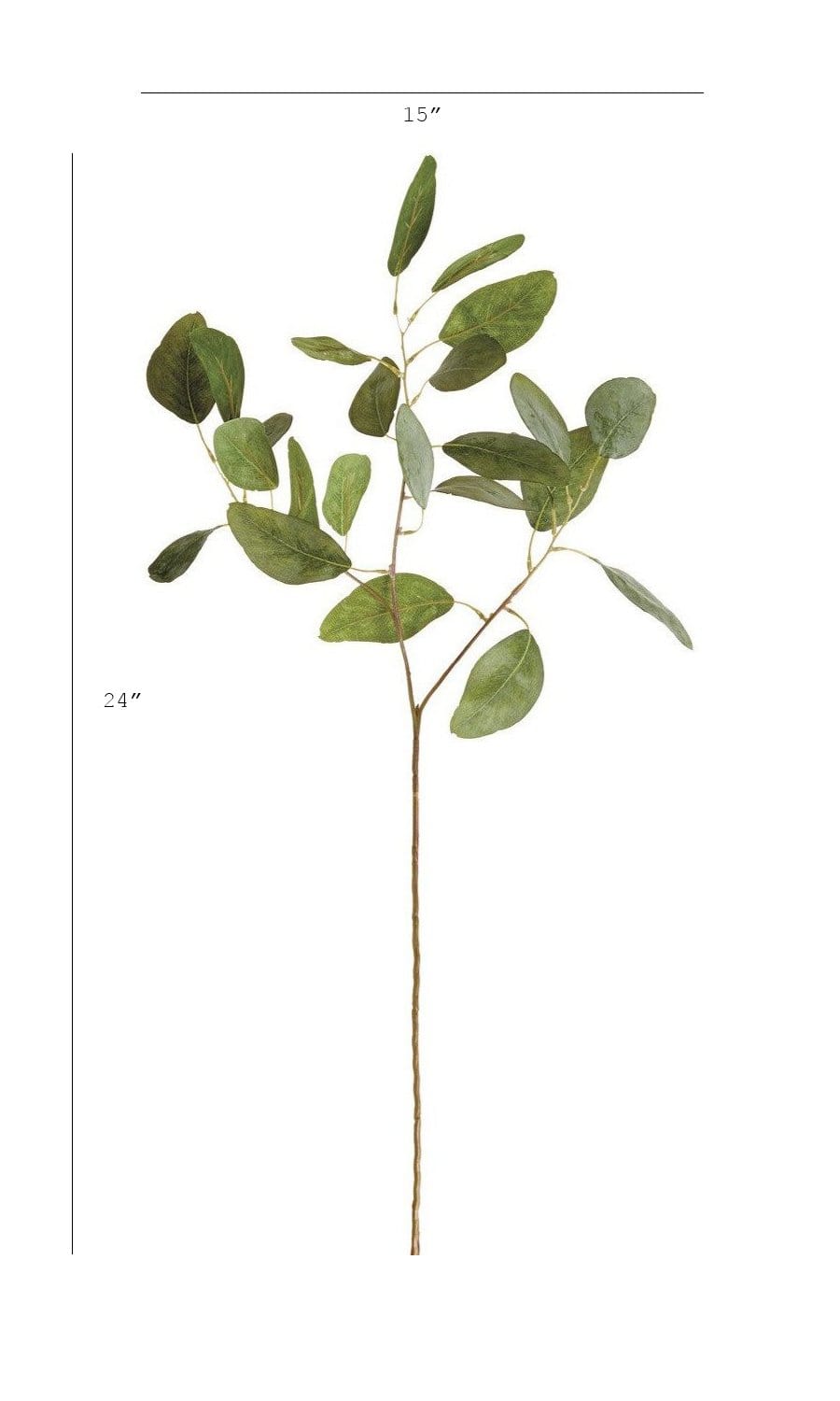 24" Faux Eucalyptus Leaf Stem (Online exclusive)
