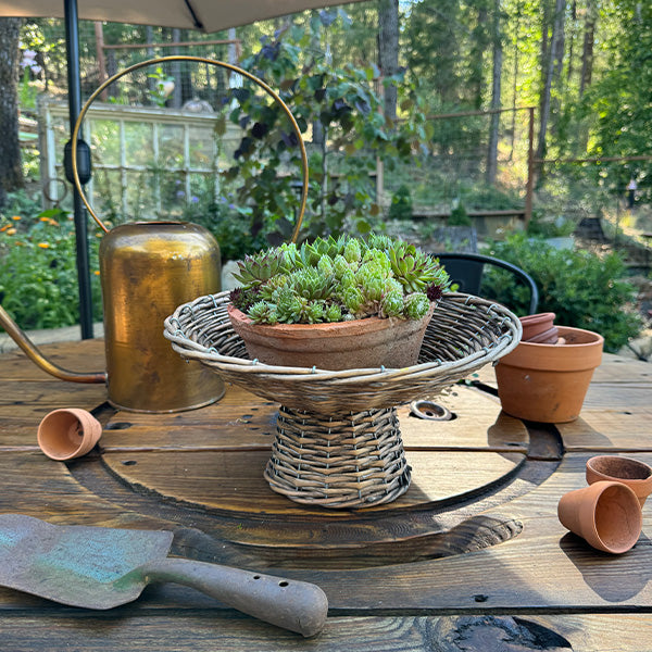 Round Willow Riser (Online Exclusive)