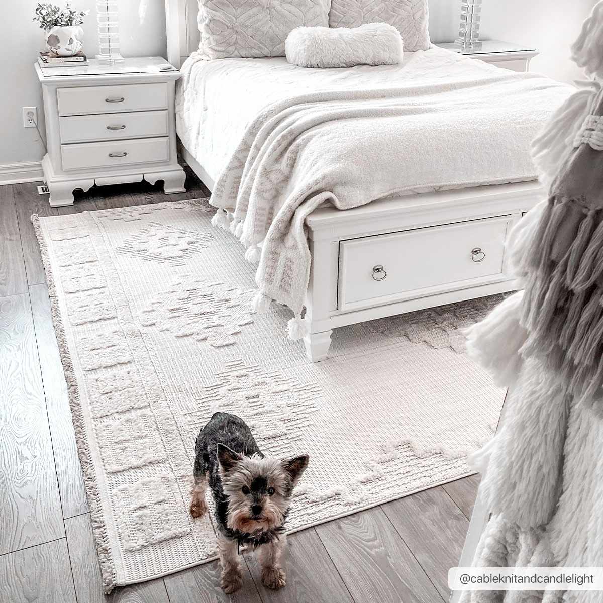 Rosales High-Low Rustic Rug  (online exclusive