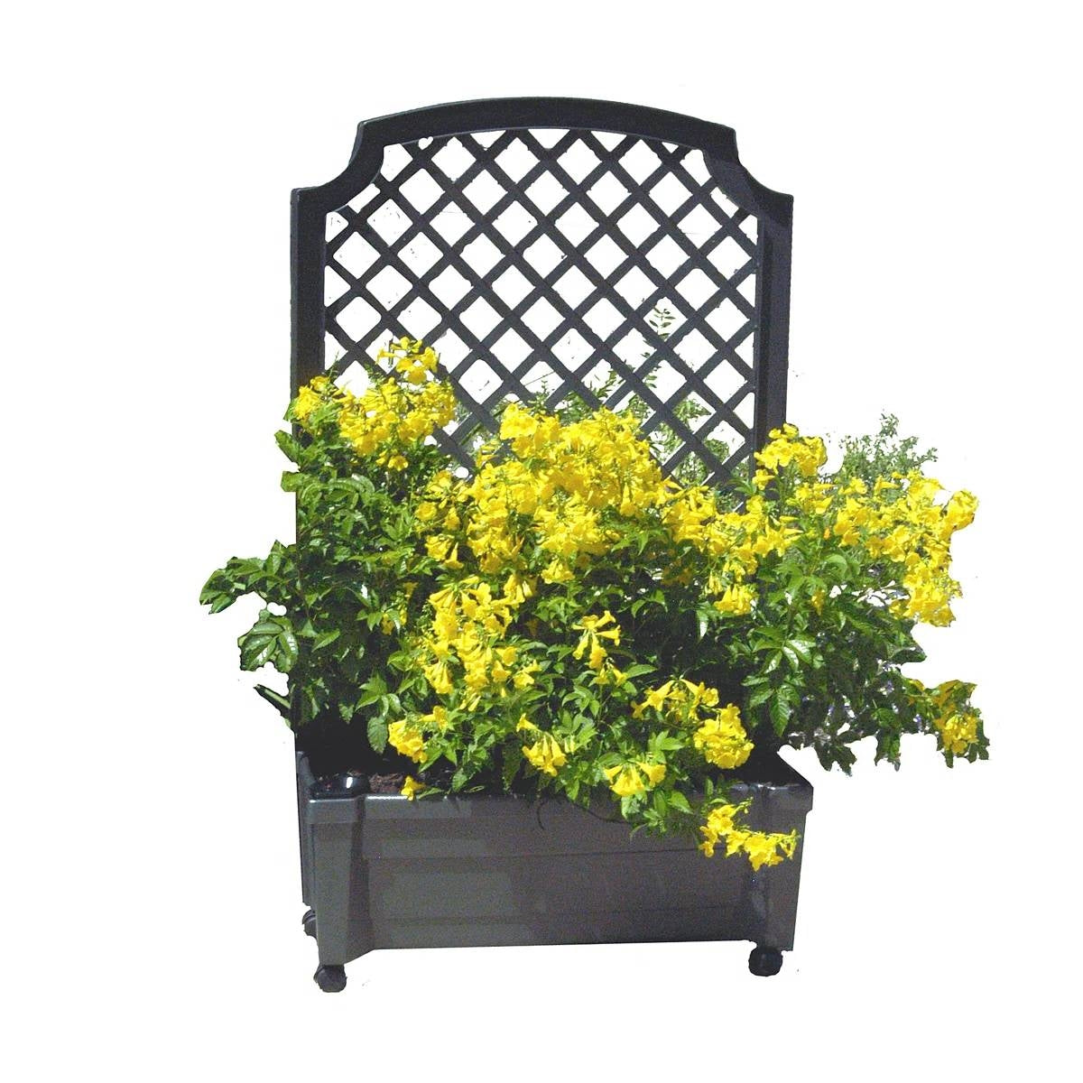 Outdoor Self-Watering Garden Planter with Trellis and Wheels in Grey Plastic  (Online Exclusive)