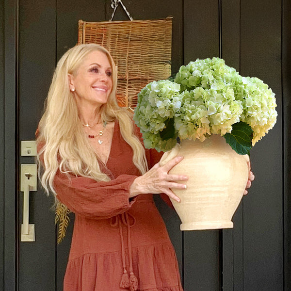 Aged Terracotta Vase with Handles (Online Exclusive)