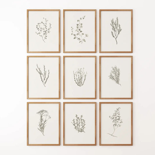 Botanical Wall Art Set of 9. Vintage Herbal Plant Prints  (online exclusive)