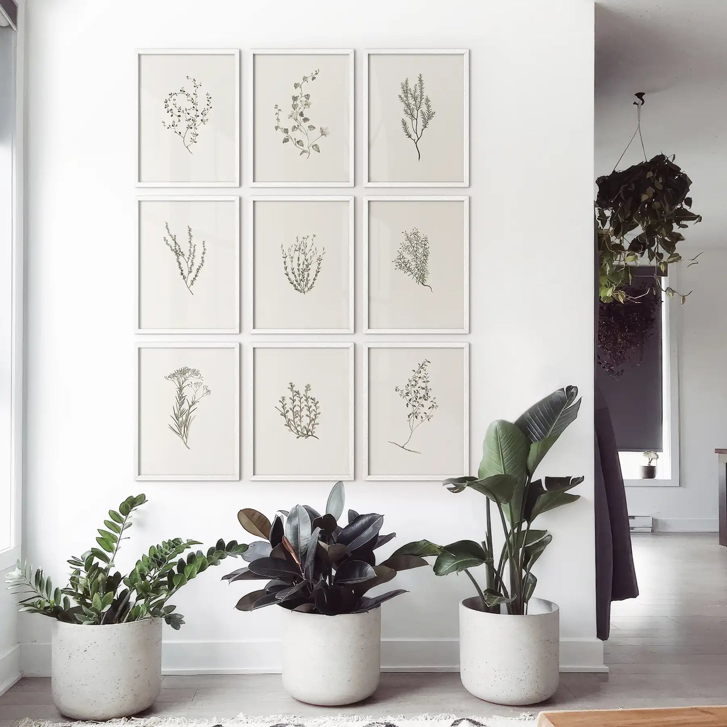 Botanical Wall Art Set of 9. Vintage Herbal Plant Prints  (online exclusive)