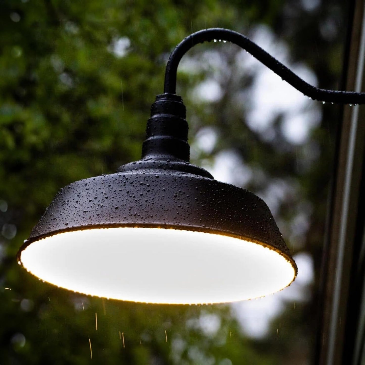 Outdoor Wall Mounted Barn Light  (Online Exclusive)