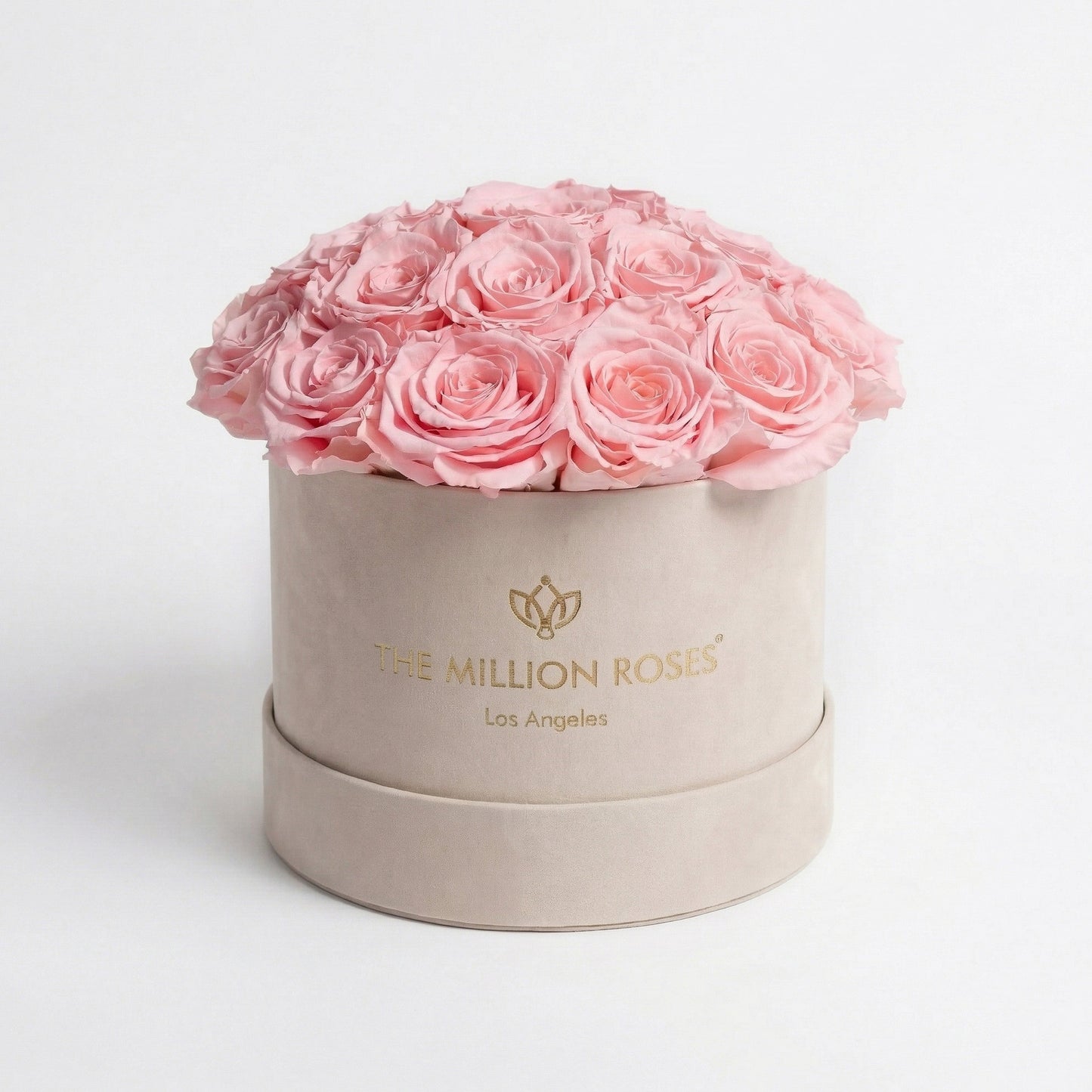 Classic Beige Suede Dome Box | Light Pink Roses  (Online Exclusive)
