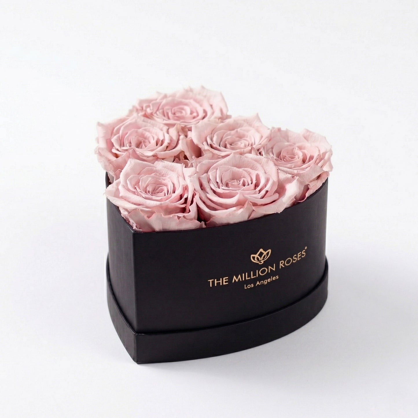 Baby Heart Black Box | Light Pink Roses  (Online Exclusive)