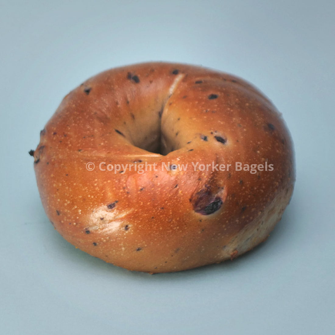 Blueberry Bagels (Online Exclusive)