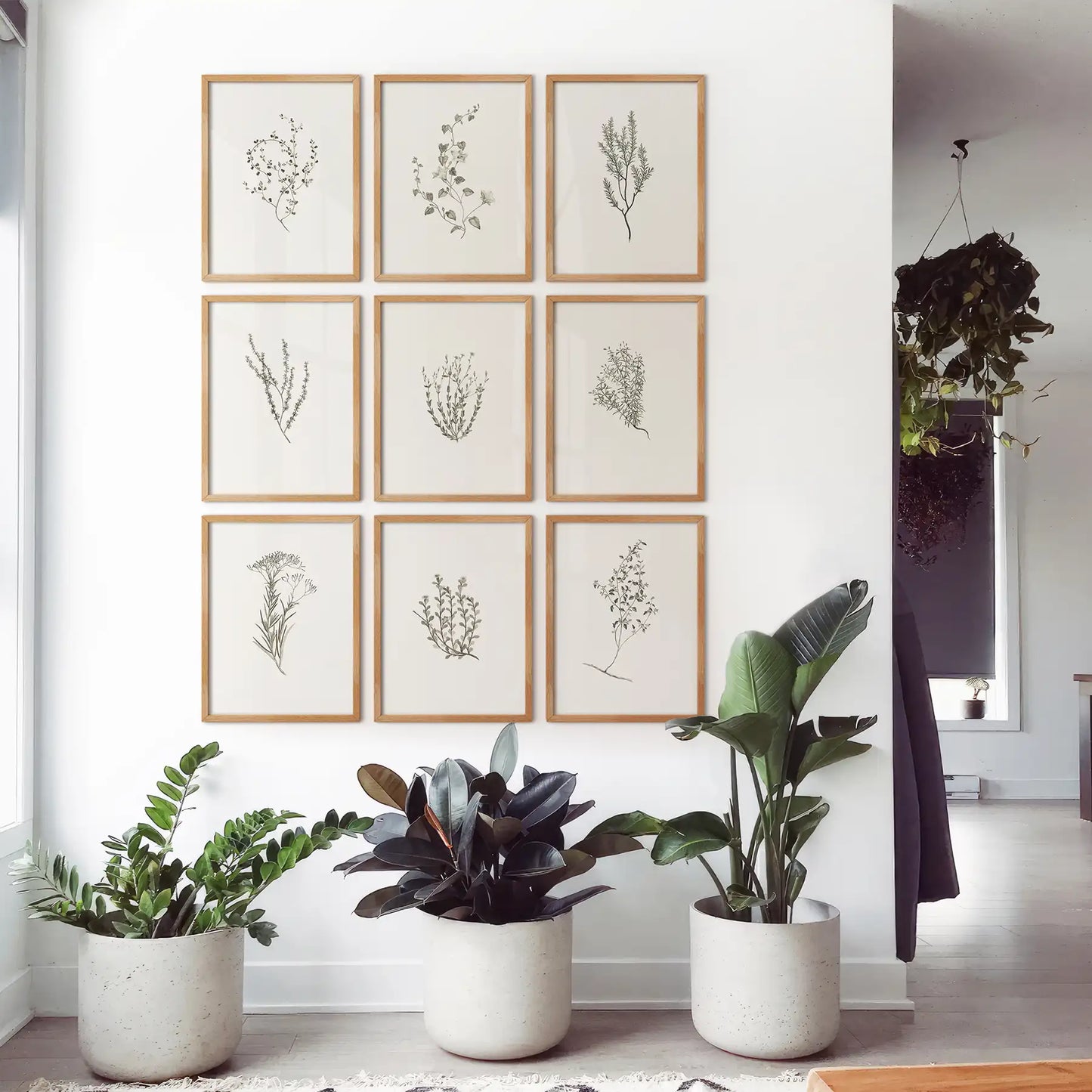 Botanical Wall Art Set of 9. Vintage Herbal Plant Prints  (online exclusive)