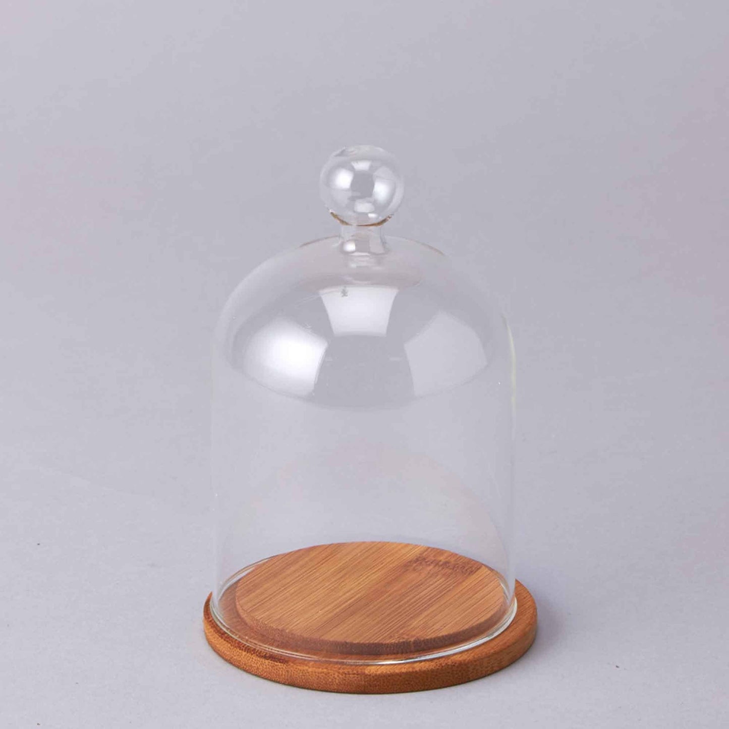 Glass Cloche with Wood Base