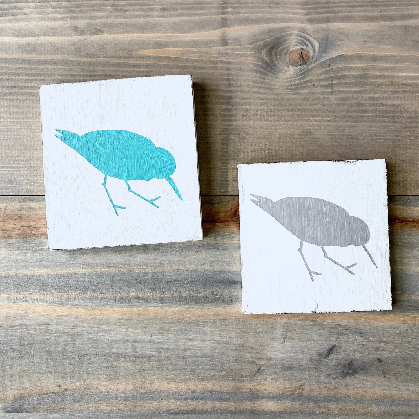 Shorebird, Sandpiper Sign  (Online Exclusive)