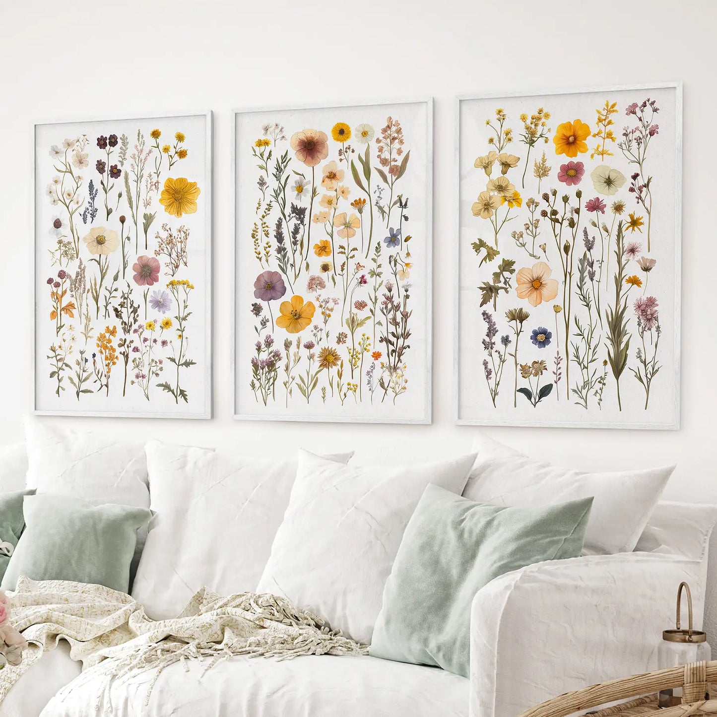 Colorful Botanical Flower Set of 3. Wildflower Prints