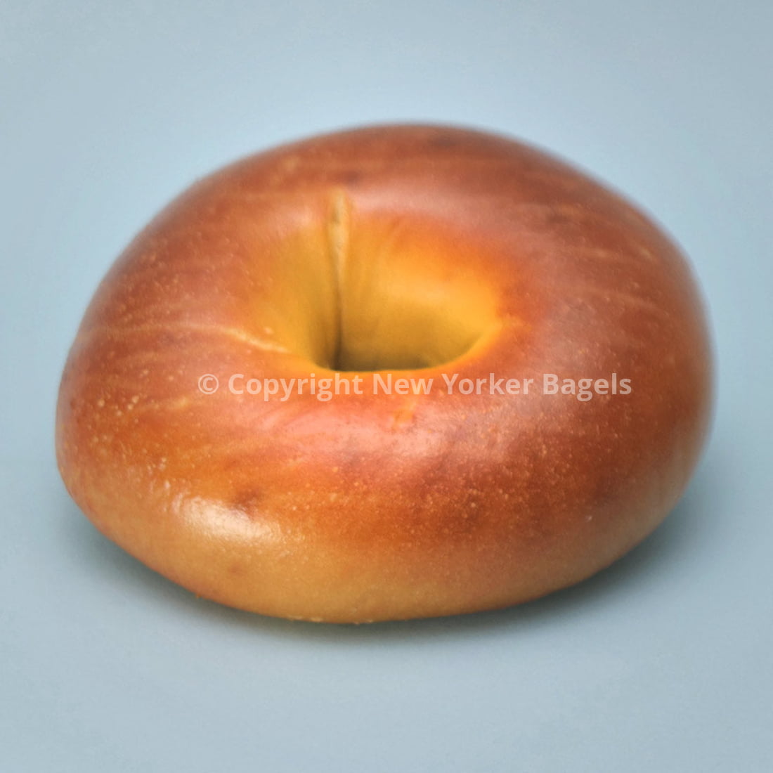 Egg Bagels (Online Exclusive)
