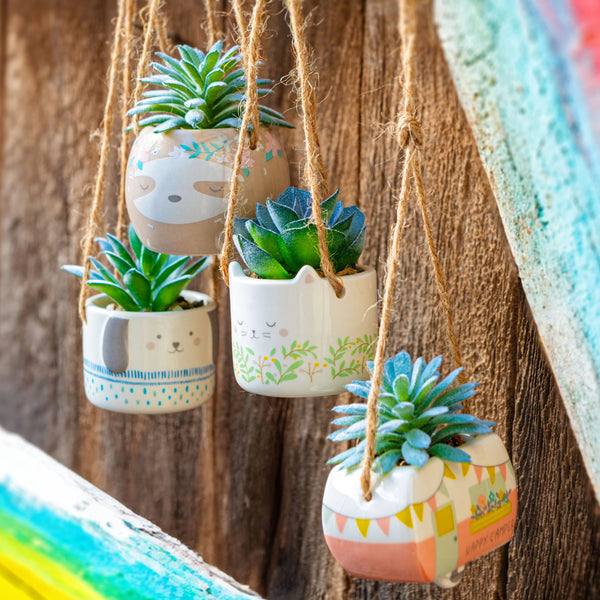 Shaped Hanging Succulent Pot