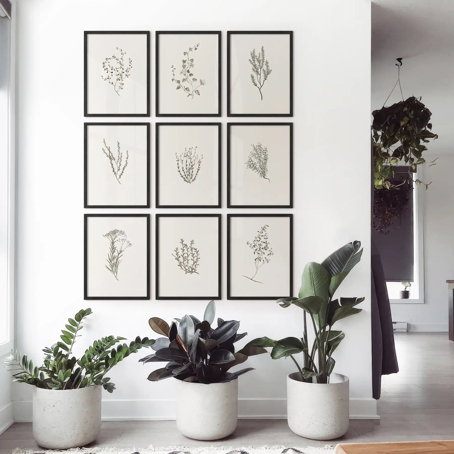 Botanical Wall Art Set of 9. Vintage Herbal Plant Prints  (online exclusive)