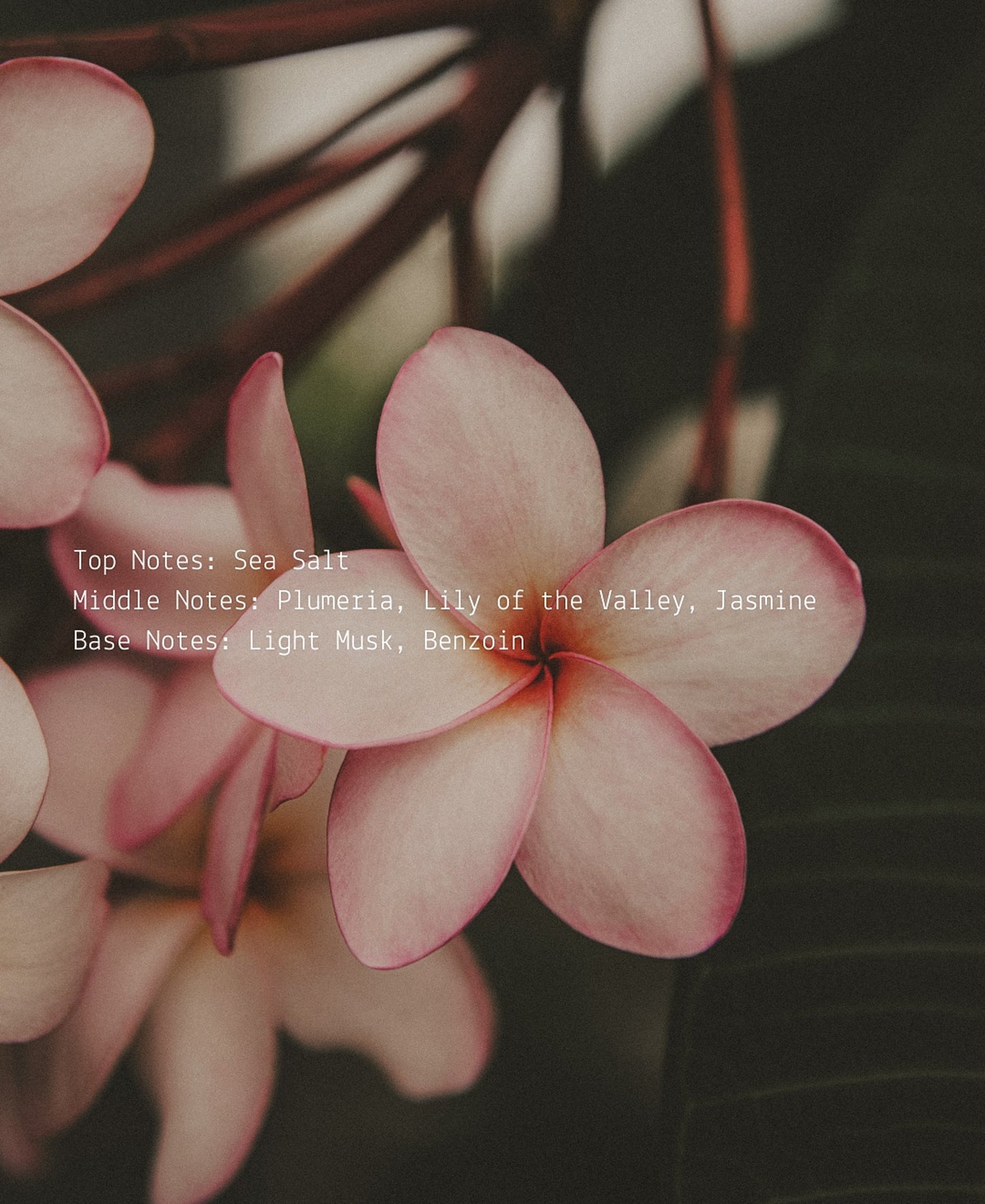 Full Bloom Room + Linen Fragrance Mist  (online exclusive)