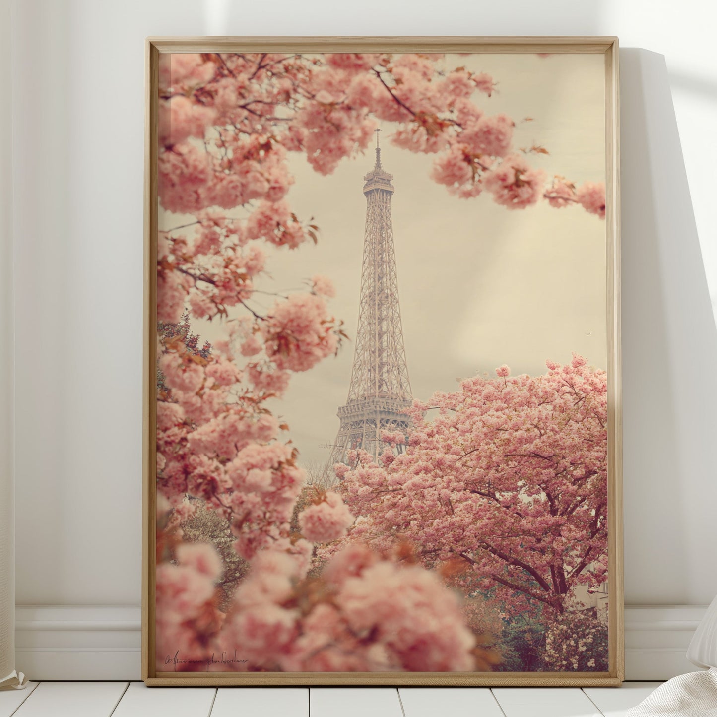 Petals Dance Beneath Parisian Skies  (Online Exclusive)
