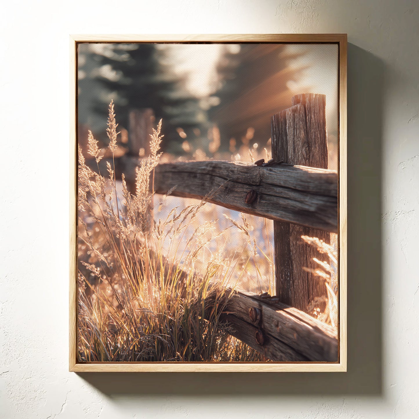 Golden Light on Weathered Wood (Online Exclusive)