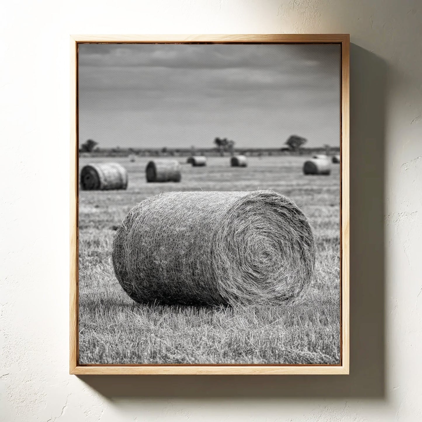 Harvested Echoes of Summer  (Online Exclusive)