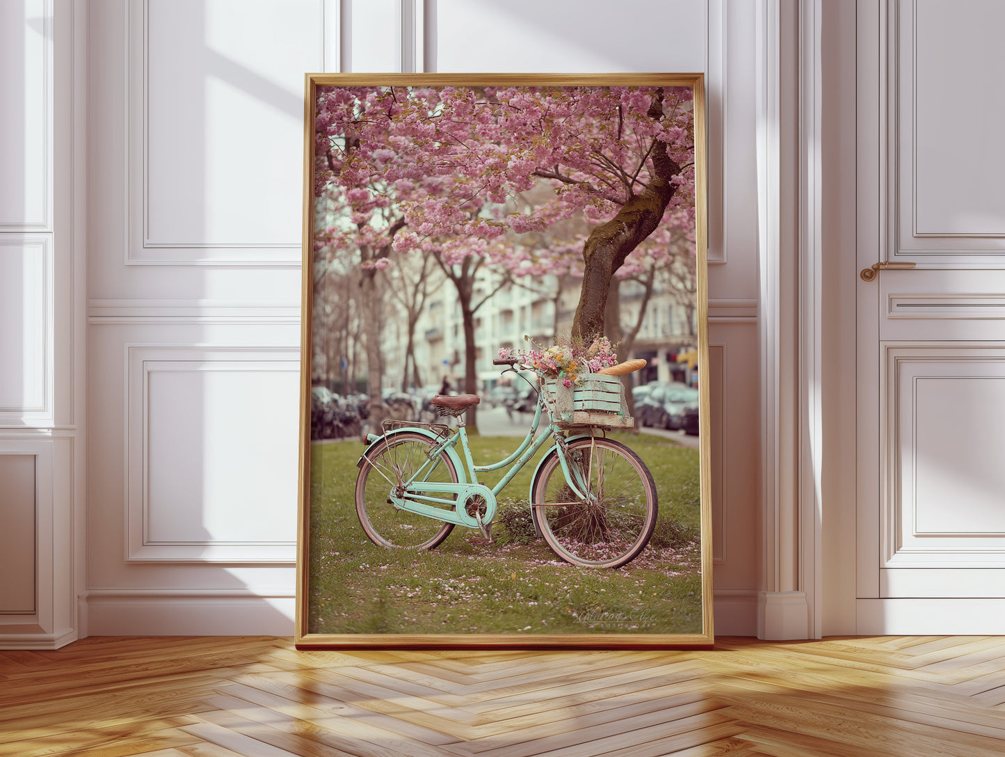 Bicycle Beneath Blossoming Canopy (Online Exclusive)