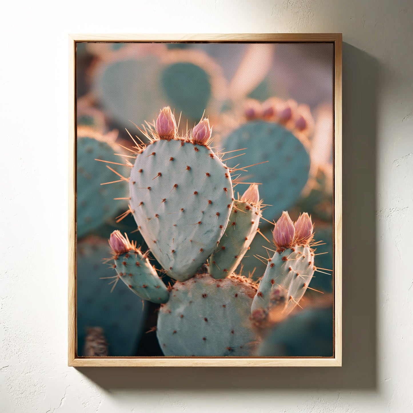 Cacti Embrace the Golden Dawn (Online Exclusive)