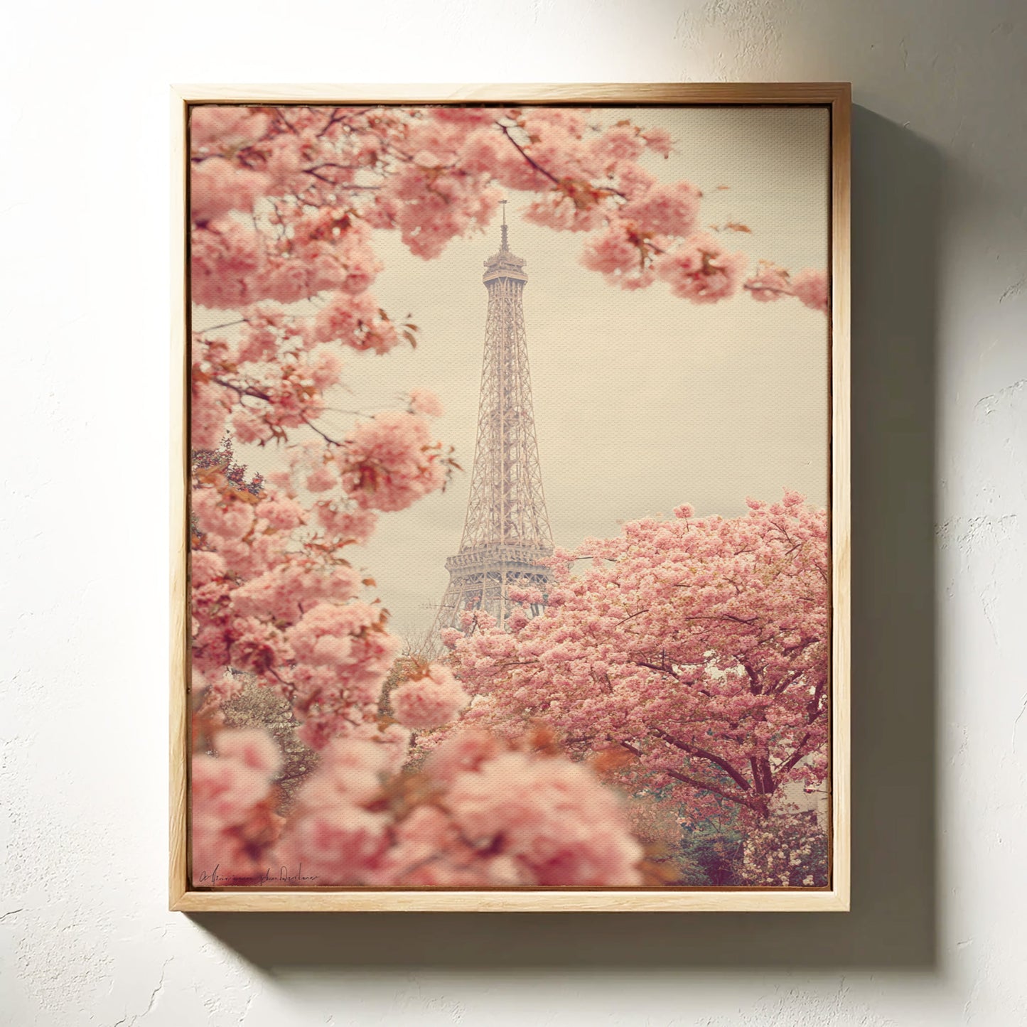 Petals Dance Beneath Parisian Skies  (Online Exclusive)