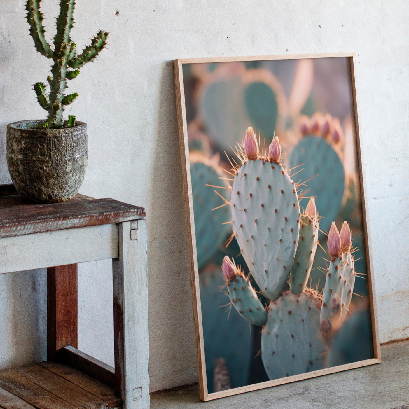 Cacti Embrace the Golden Dawn (Online Exclusive)