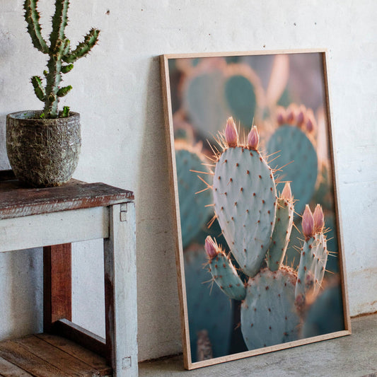 Cacti Embrace the Golden Dawn (Online Exclusive)