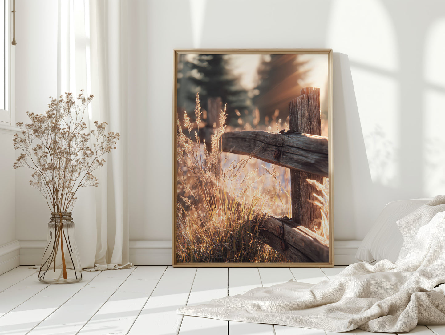 Golden Light on Weathered Wood (Online Exclusive)
